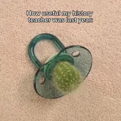 History teachers π