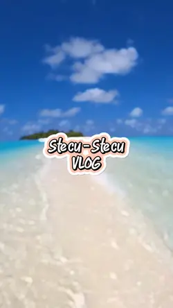 Stecu - Stecu VLOG