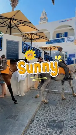 Sunny Day 16 Clips
