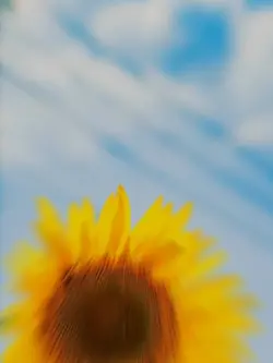 3分以上