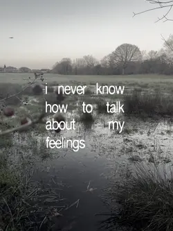 my problem..
