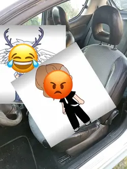 La voiture 😂💅