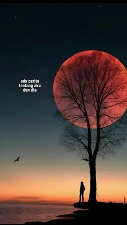 semua tentang kita