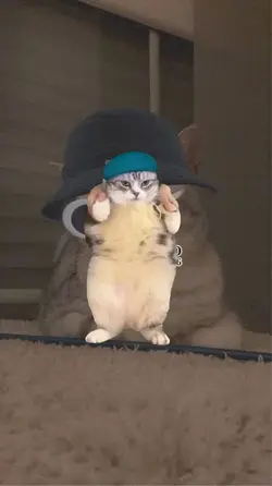ねこの踊りのテンプレート