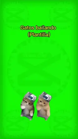 Gatos bailando 