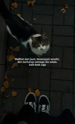 melihat dari jauh te
