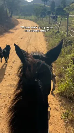 Andar à cavalo🛸
