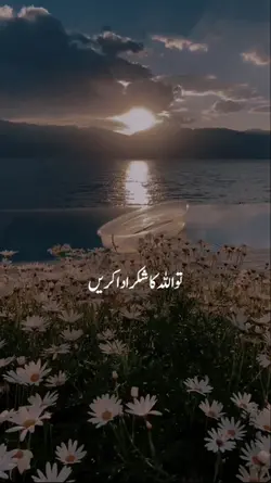 اللہ جانتا ہے