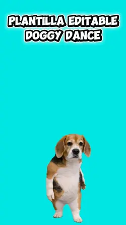 doggy dance
