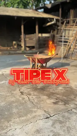 TIPE X Genit