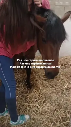 Ma Isis... 