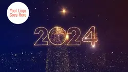 2024 ³⁰