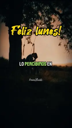 LUNES 29 DE ENERO