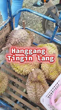 tingin lang