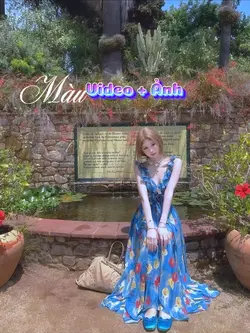 Video+ảnh