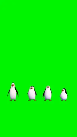 Funny Template 