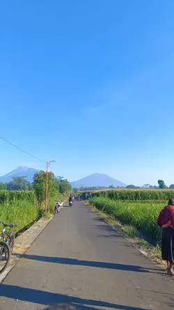 selasa