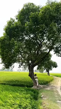 বৈশাখের বাতাস