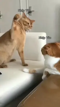 hmm buồn quá huhu