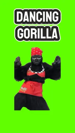 Dancing Gorilla 