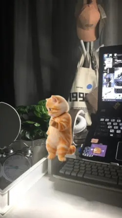 jj kucing joget vira
