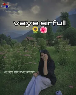 vaye sirfull..?