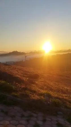 Bom dia 