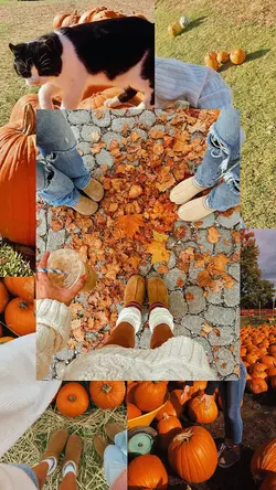 PUMPKIN PATCH PICS 