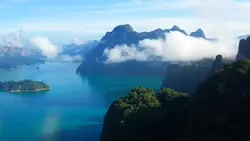 petir dalam hutan