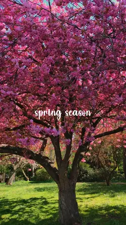 Spring season 