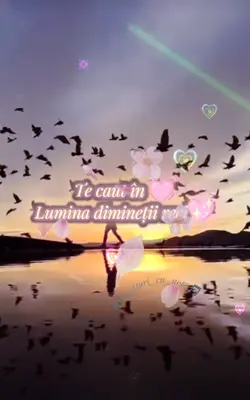 Lyrics for You 