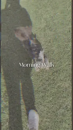 Morning Walk 