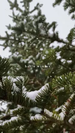 hello winter