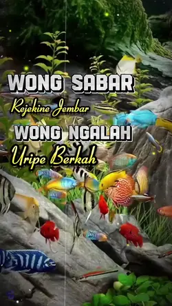 WONG SABAR 