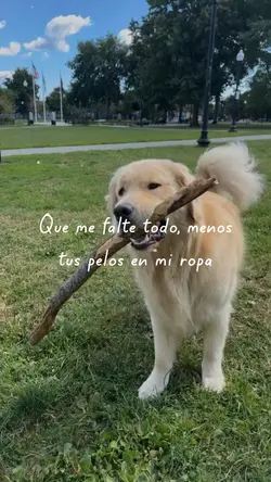 Que me falte todo