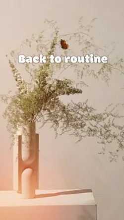 Back to routine