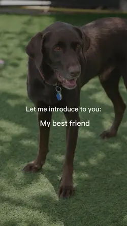 My Dog Best Friend