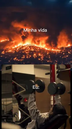 Prioridades 
