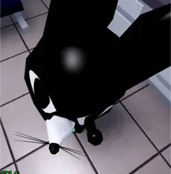 *animal hospital*!!!