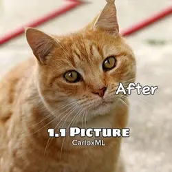 Before and After 