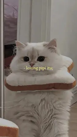 lirik estetik 