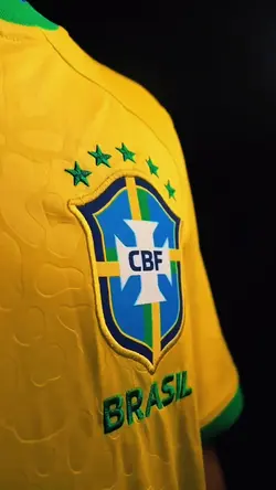 BRASIL HEXA