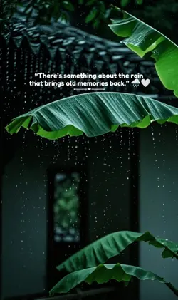 Rainy day memories 