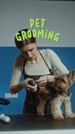 Pet Grooming