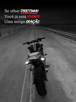 frases 244