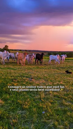 Bem sucedidos 