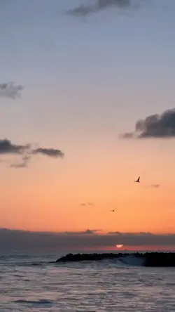 INSTRUMEN SLOWMO