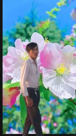 hoa đẹp