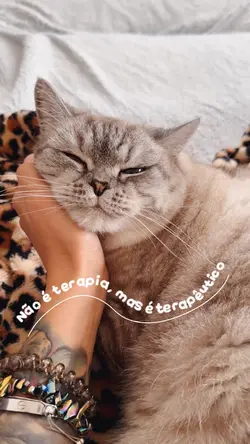 Não é terapia