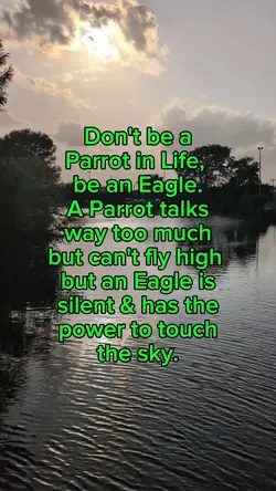Eagle & Parrot